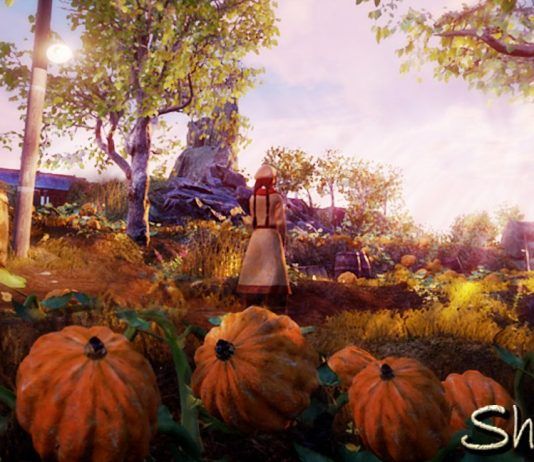 Desarrolladores de Ys Net nos hablan sobre 'Shenmue III'