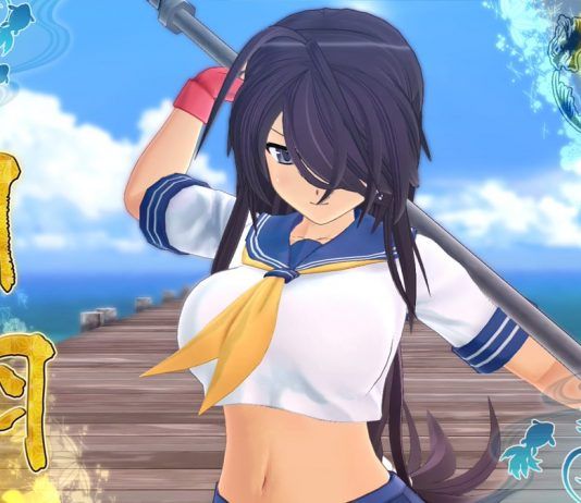 El productor de 'Senran Kagura' pide paciencia a los fans de Occidente respecto al nuevo DLC