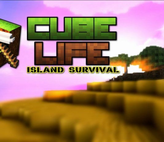 'Cube Life: Island Survivor HD' anunciado para PlayStation 4