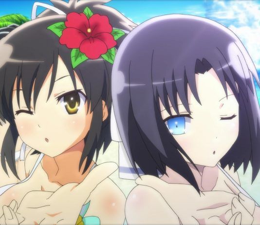 Marvelous Europe anuncia la edición coleccionista de 'Senran Kagura: Peach Beach Splash'