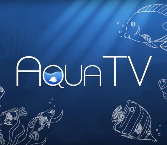 Convierte tu televisor en una pecera personalizada con 'Aqua TV'