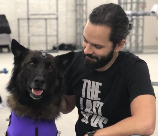 Se está trabajando con un perro para The Last of Us Part II