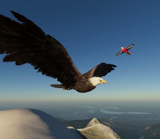 The Crew 2: estas son las horas en las que inicia y termina la beta abierta