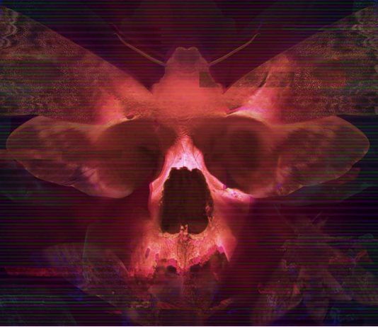 Transient llega a tiempo para Halloween y ya está disponible en PC