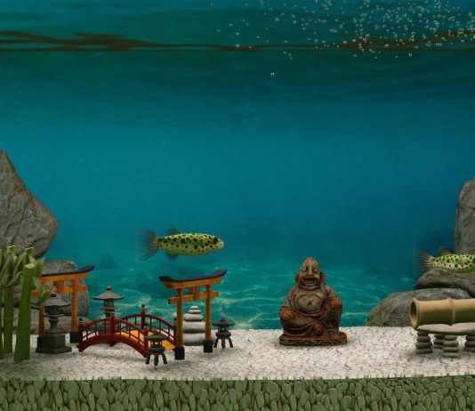 Biotope, el simulador de acuarios, ya está en Steam y viene sin Nemo