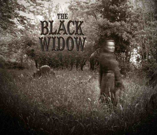 The Black Widow muy cerca de picar en Steam y móviles