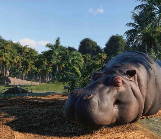 Ya está disponible la beta de Planet Zoo, lo último de Frontier