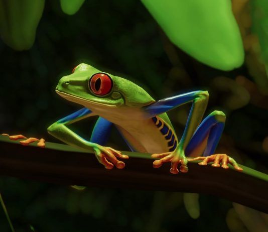 Planet Zoo pone fecha a su próximo DLC: South America Pack