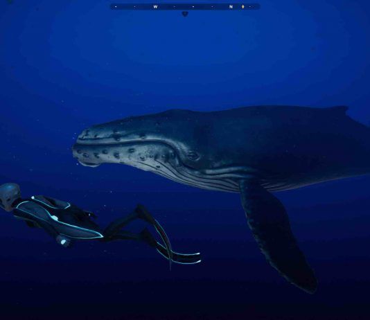 Beyond Blue celebra el Día de la Tierra con una sesión Q&A: Ask The Ocean