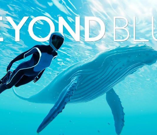 La aventura oceánica Beyond Blue ya tiene fecha de salida en PC, Xbox One y PS4