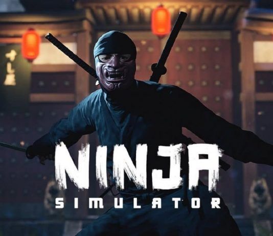Cumple ese viejo sueño de niño: RockGame presenta Ninja Simulator