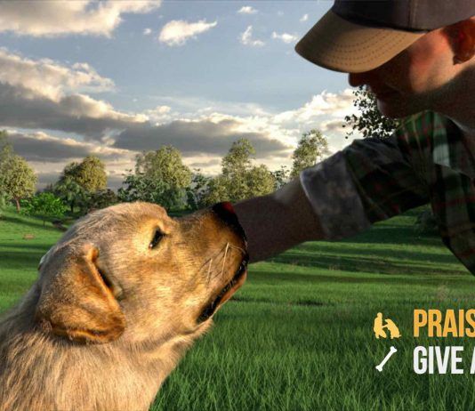 ¡Guau! Games Incubator anuncia Animal Trailer para PC