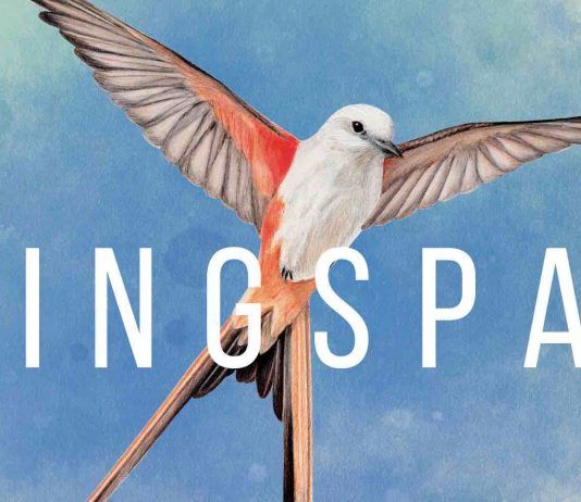 Wingspan "echa a volar" y ya está disponible en Steam