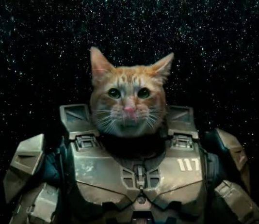 Los sueños se hacen realidad, ahora sabemos que Master Chief siempre fue un gato
