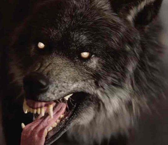 Cyanide publicita Werewolf: The Apocalypse – Earthblood desvelando los oscuros secretos de ENDRON