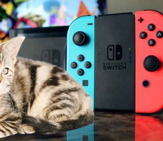 ¿Tienes 3 euros? Entonces maullarás con las ofertas de Catness para Nintendo Switch