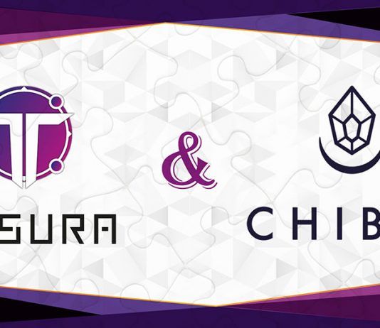 El estudio valenciano Chibig Studio ha encontrado en Tesura Games el aliado perfecto para sus ediciones físicas