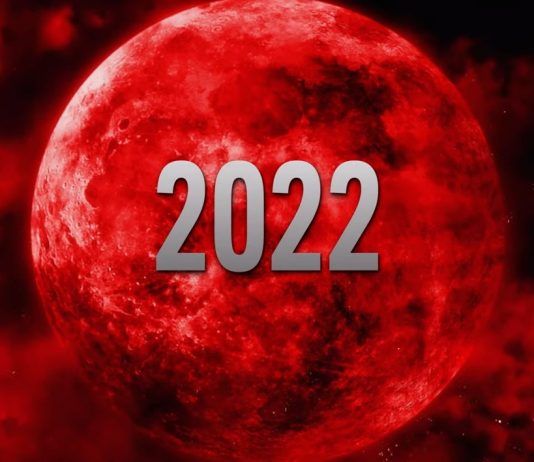 ¡CONFIRMADO! Zelda BotW 2 y Bayonetta 3 llegarán este año