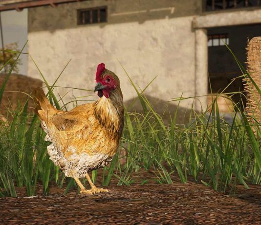 Los pollos llegan a PUBG: BATTLEGROUNDS con la actualización 14.2