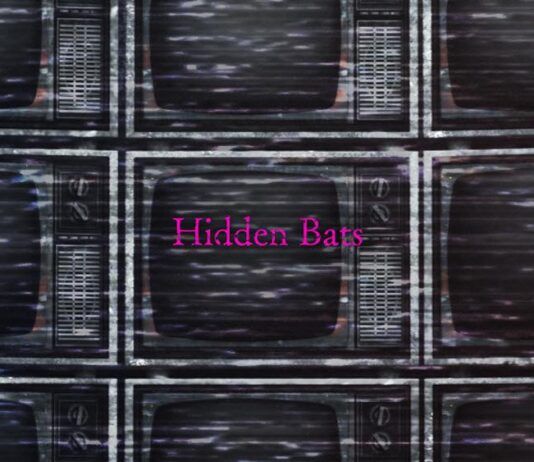 Spike Chunsoft anuncia Hidden Bats, un misterio a resolver a través de Twitter