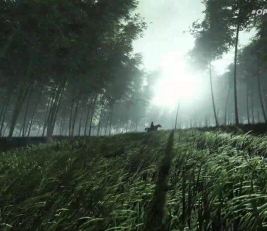 Where Winds Meet nos trae su impresionante gameplay
