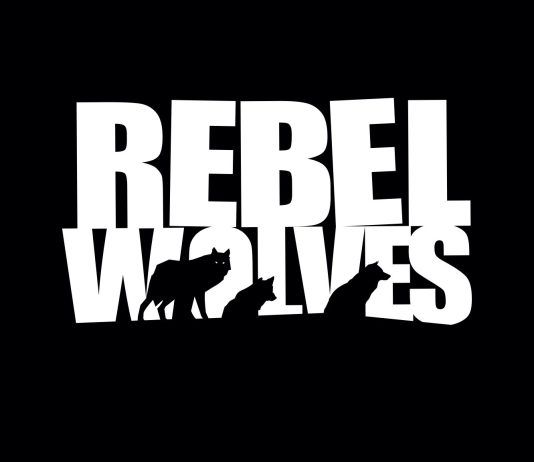 Mateusz Tomaszkiewicz (The Witcher 3, Cyberpunk) se une a Rebel Wolves como Director Creativo