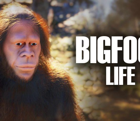 Si creías haberlo visto todo en simuladores... descubre Bigfoot Life