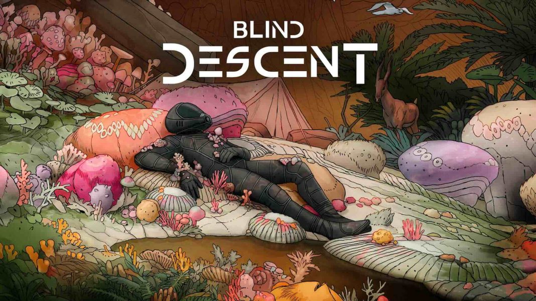 BlindDescent_art