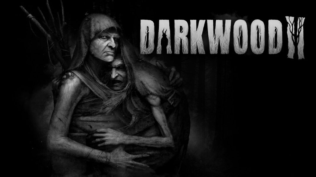 Darkwood 2 - Key Art Darkwood 2