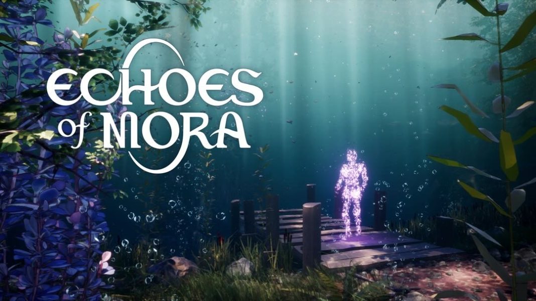 Echoes of Mora art