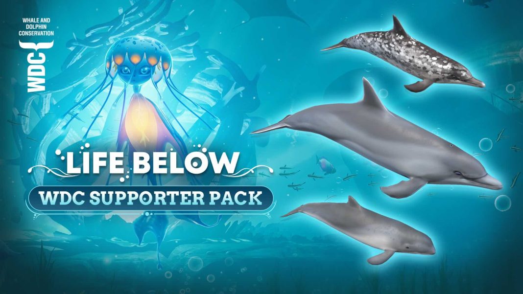 LifeBelow_WDC Supporter Pack Art