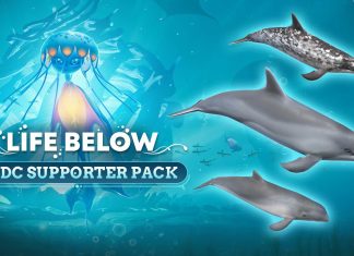 Life Below lanza un pack con el que apoyar a la Whale and Dolphin Conservation