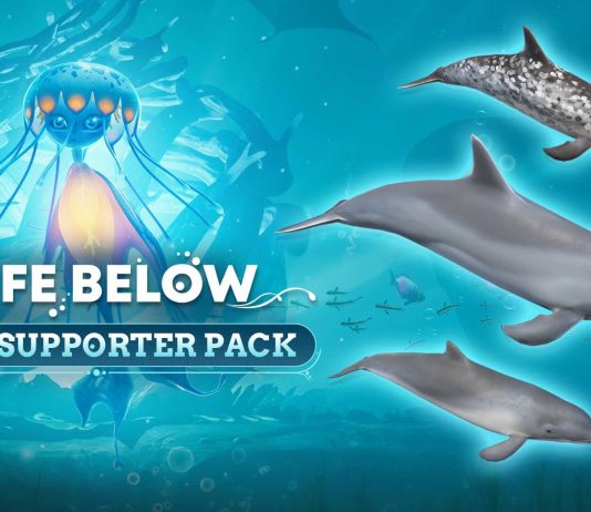 Life Below lanza un pack con el que apoyar a la Whale and Dolphin Conservation