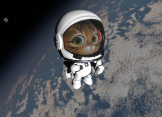 Kitten Space Agency estrena nuevo teaser y celebra un galardón