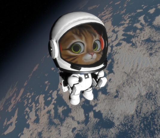 Kitten Space Agency estrena nuevo teaser y celebra un galardón