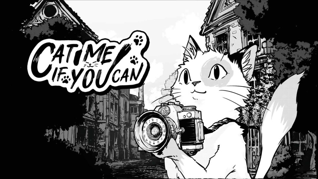 Cat Me If You Can_art