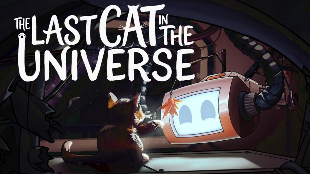 The Last Cat in the Universe The Last Cat in the Universe