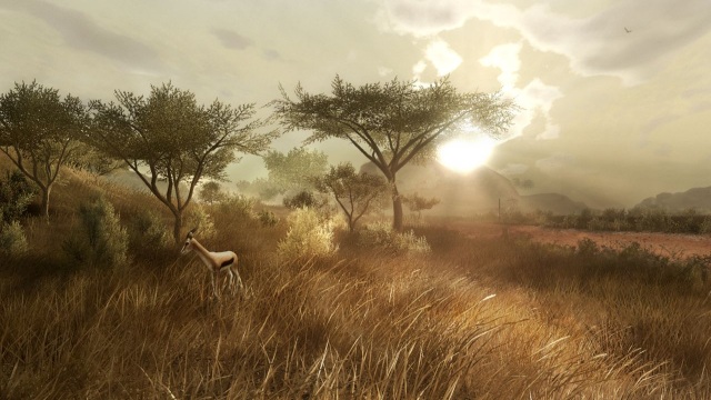 Far cry 2 PS3 4